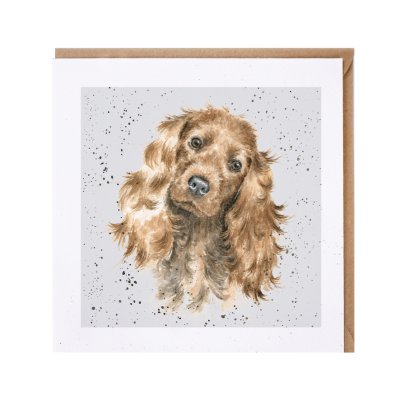 Cocker Spaniel dog greeting card