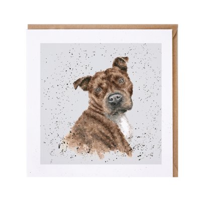 Staffordshire Terrier dog greeting card
