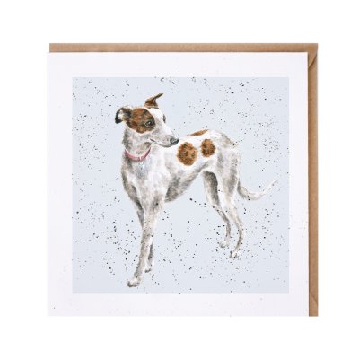 Whippet dog greeting card