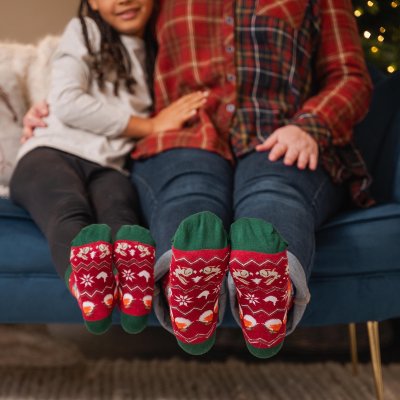 'Season's Tweetings' Robin Socks