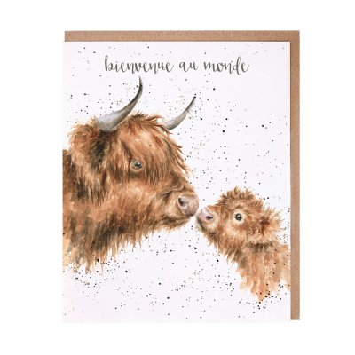 Highland cow French card