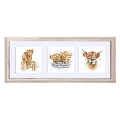 Highland cow framed trio of prints