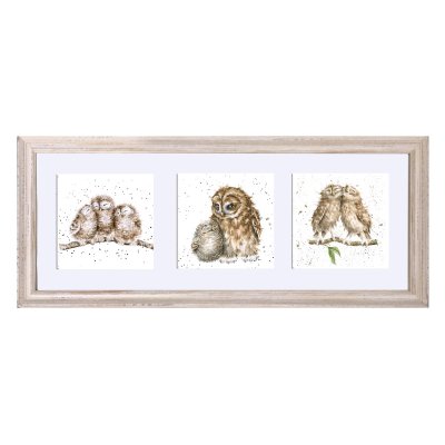 Owl framed trio of prints