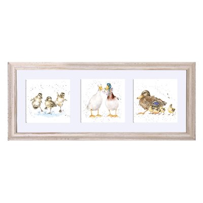 Duck framed trio of prints