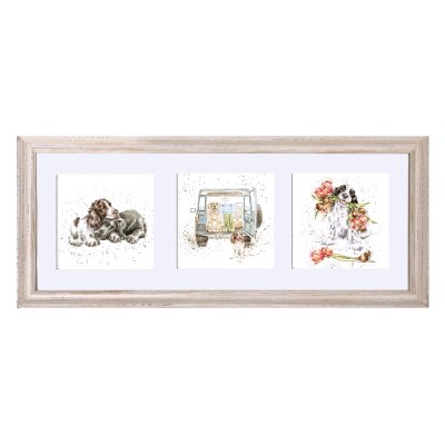 Dog framed trio of prints