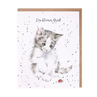 Grey and white kitten and ladybird German card