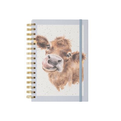Highland cow illustration on A5 spiral bound notebook