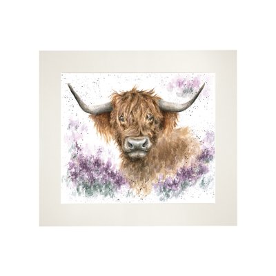 'Highland Heathers' Ltd mounted print