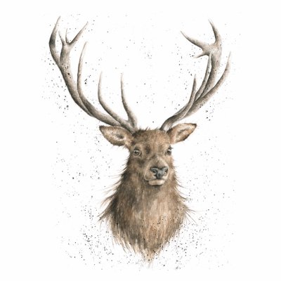 Stag Limited Edition Print