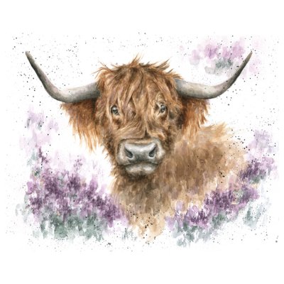 Highland cow limited edition print
