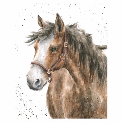 'Spirit' horse limited edition print