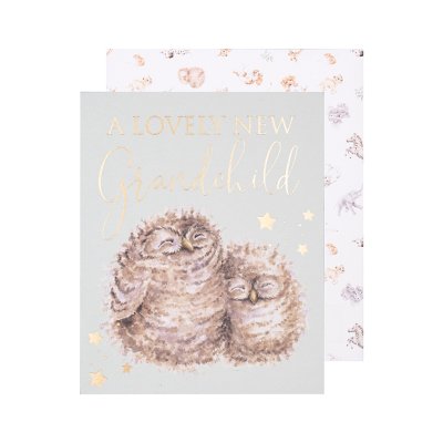 Owl new grandchild greeting card