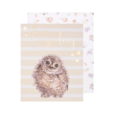 Hoot Hoot Hooray you're expecting owl greeting card