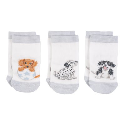 Dog Baby Socks gift set