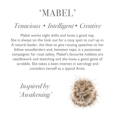 'Mabel' Hedgehog Character