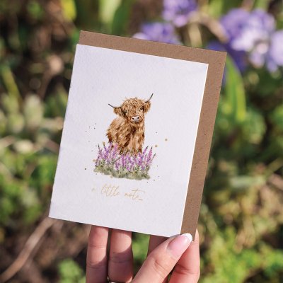 'Gentle Giant' Highland Cow Little Sentiment Card