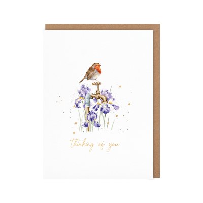 'The Gardener's Guest' Robin Thinking of You Little Sentiment Card