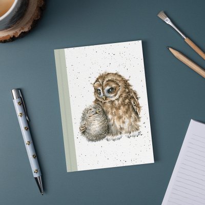 Two owls cuddling on an A6 paperback notebook on a desk surrounded by stationery