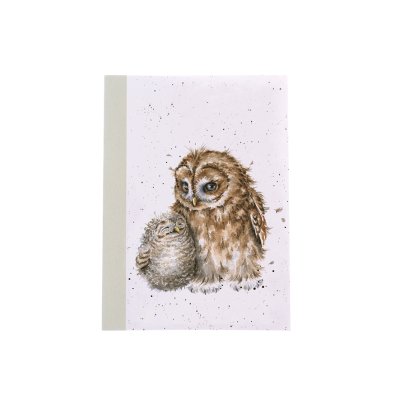 Two owls cuddling on an A6 paperback notebook