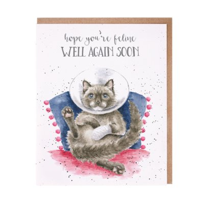 Cat in a cone and bandaged paw get well soon card