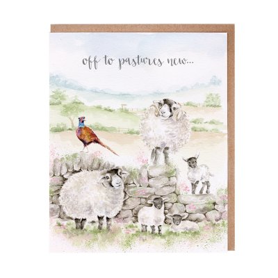 Sheep and pheasant on a stone wall new adventure card