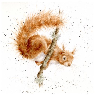 'The Acrobat' Squirrel Original Artwork 