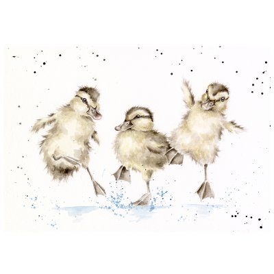 'Puddle Ducks' Duck Original Artwork 