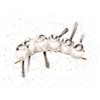 'Bedtime Stories' Bird Original Artwork