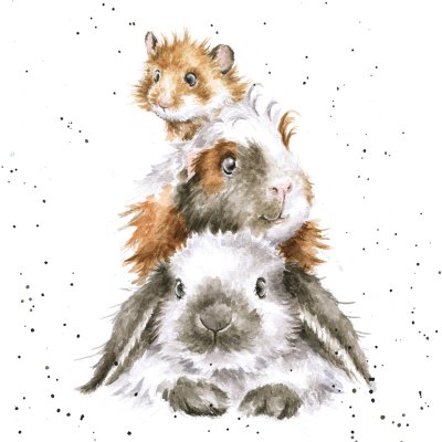 'Piggy in the Middle' rabbit, guinea pig and hamster artwork print