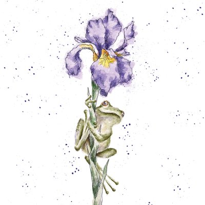 'It's Not Easy Being Green' frog and iris artwork print
