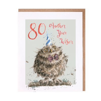 '80 Another Year Wiser' Owl 80th Birthday Card