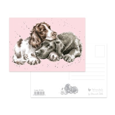 Spaniel and Labrador postcard