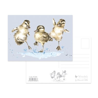 Duck postcard