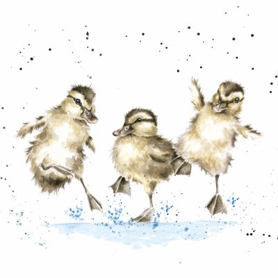 'Puddle Ducks' duckling artwork print