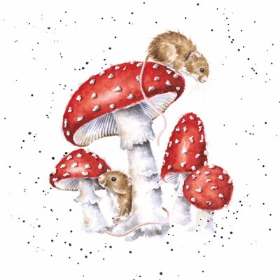 'The Fairy Ring' mouse and mushroom artwork print