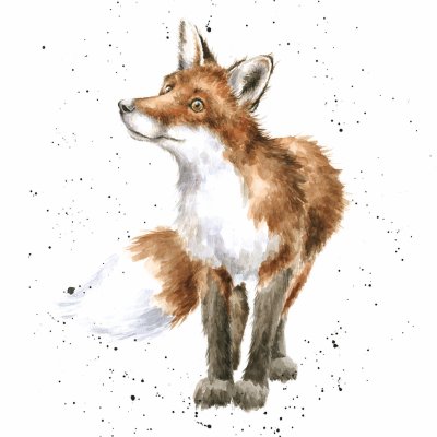 'Bright Eyed and Bushy Tailed' fox artwork print