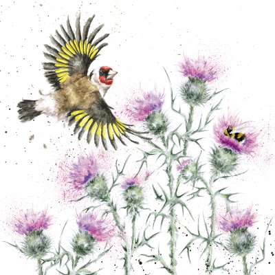 'Feather's and Thistles' Gold Finch and thistles artwork print