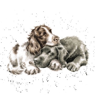 'Growing Old Together' Spaniel and Labrador artwork print