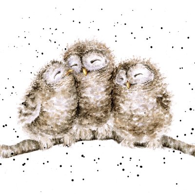 'Owl Together' three owls on a branch artwork print