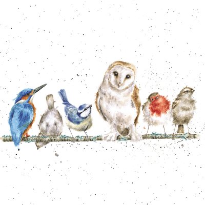 'The Variety of Life' owl, robin, sparrow, bluetit and kingfisher birds on a branch artwork print