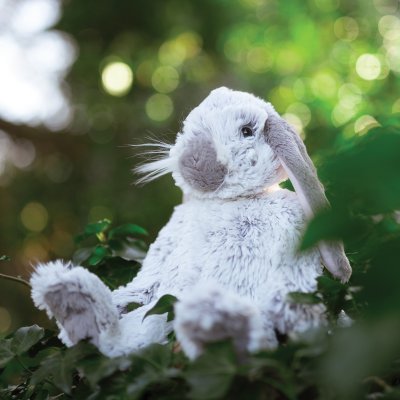 'Rosie' Rabbit Character