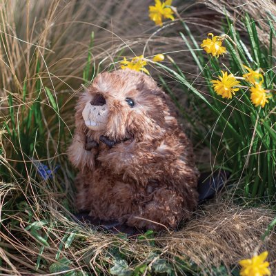 'Chester' Beaver Character 