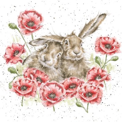 'Love in in the Hare' hare an poppy artwork print