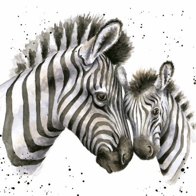 'Racing Stripes' zebra artwork print