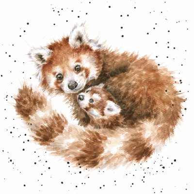 'Tree Hugger' red panda artwork print