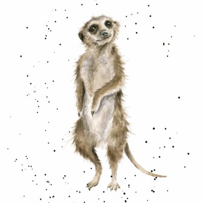 'On Guard' meerkat artwork print