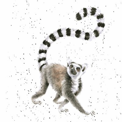 'Tail in the Air' lemur artwork print