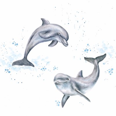 'Flippin Around' dolphin artwork print