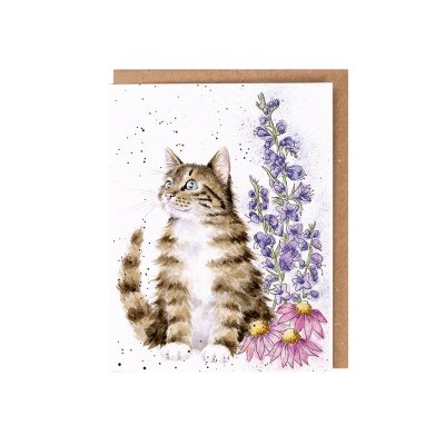 Cat seed card