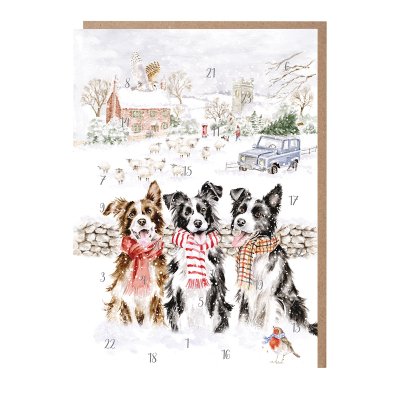 'While Shepherds Watched' Border Collie Advent Calendar